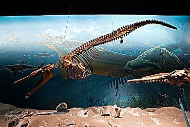 《生化危机4：VR》将免费更新佣兵模式 明年上线